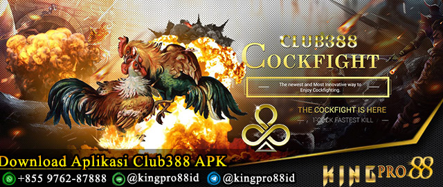 Download Aplikasi Club388 APK