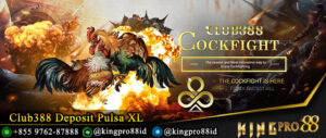 Club388 Deposit Pulsa XL